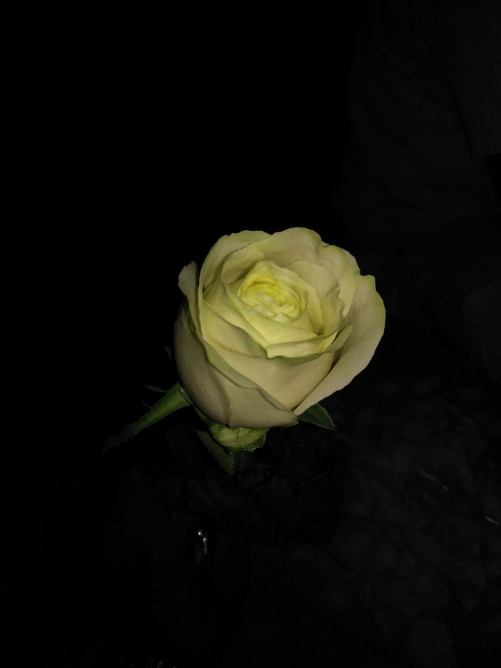 light in dark