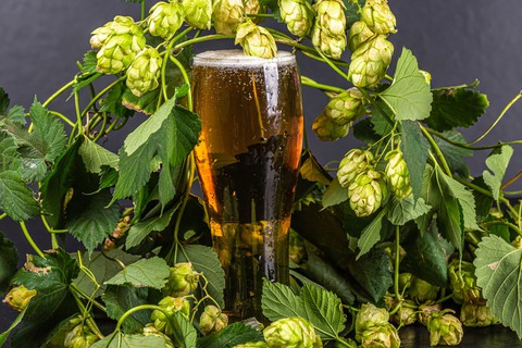 Beer