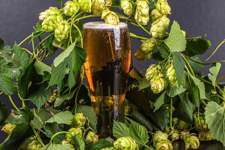 Beer