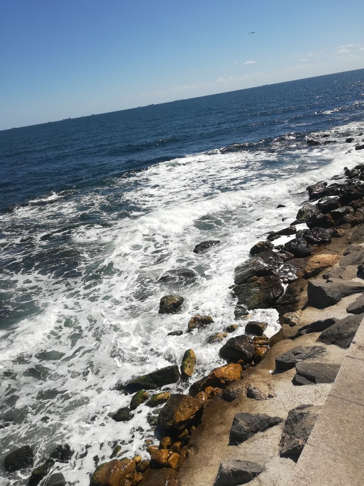 Black sea