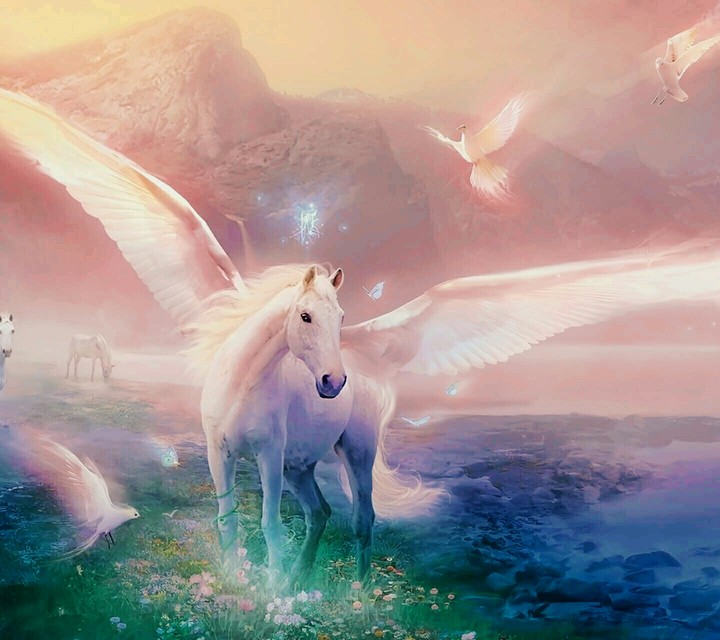 pegasus