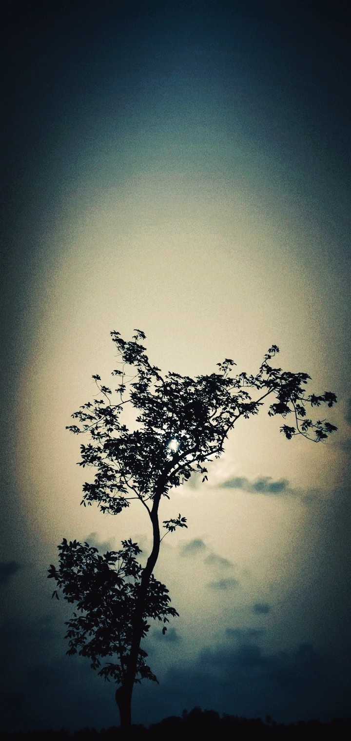 nechral