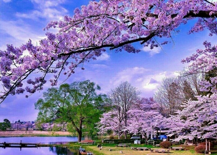 Nature