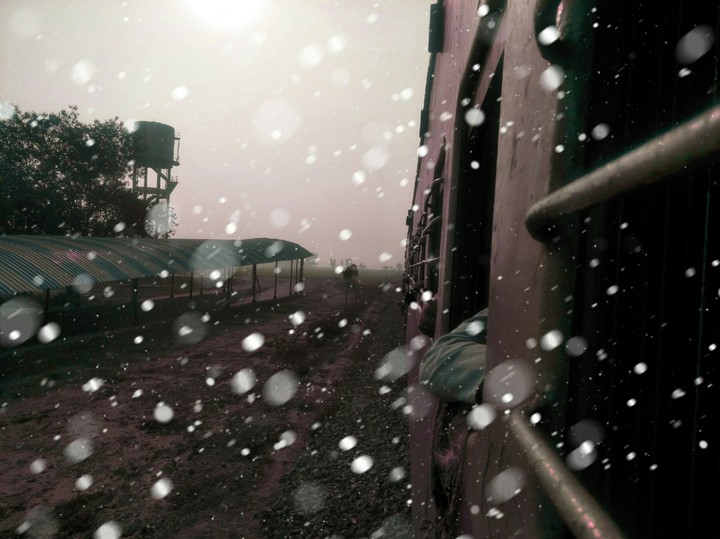 snow fall