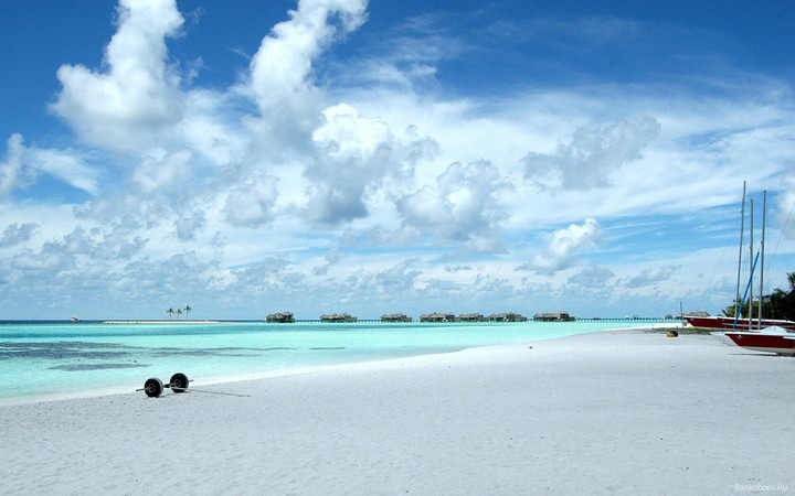 calmness