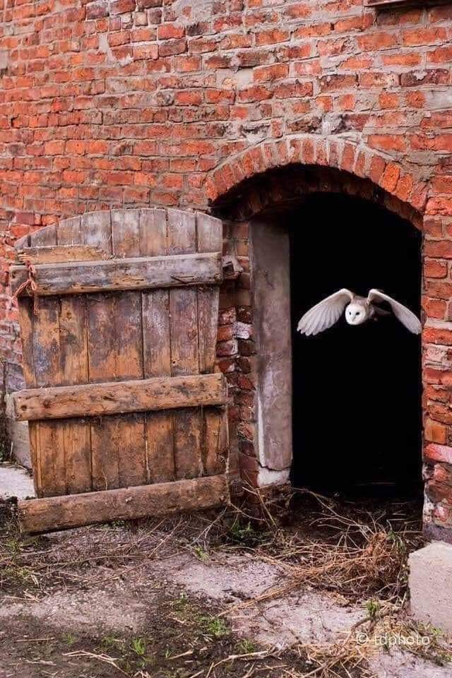 КРАСИВО ИЗ ЖИЗНИ