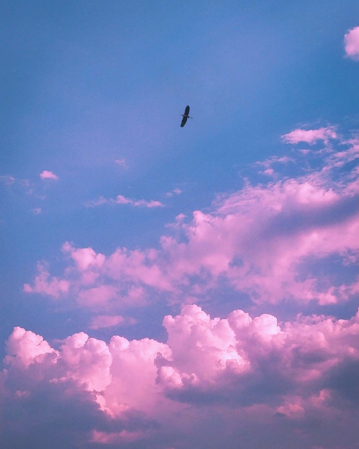sky ☁️