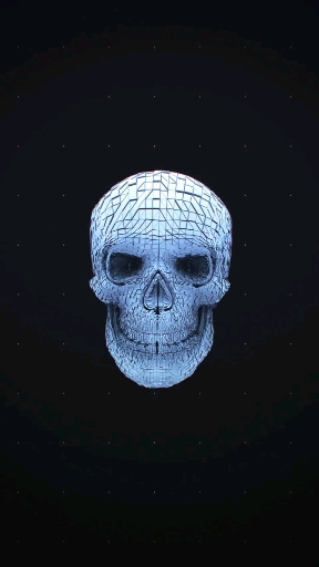 skull