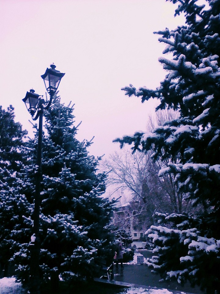 Зима