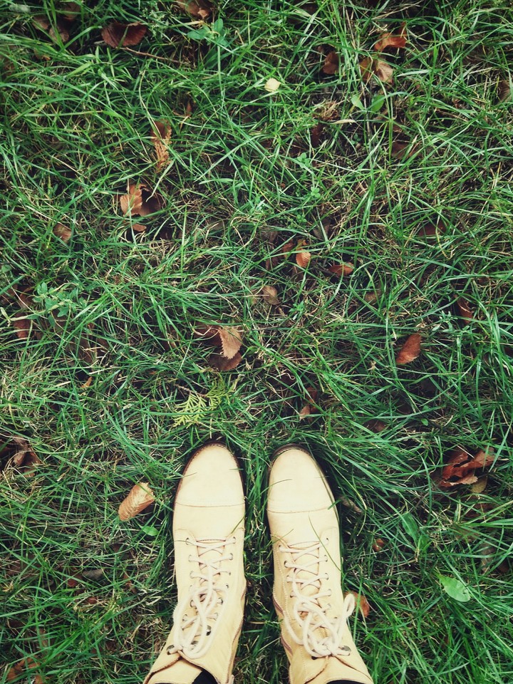 Green grass