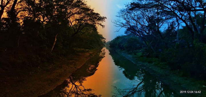by color