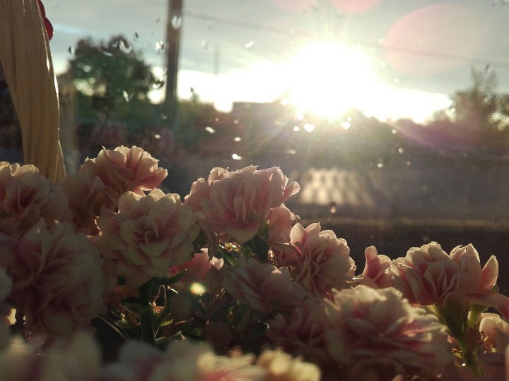 #sunset