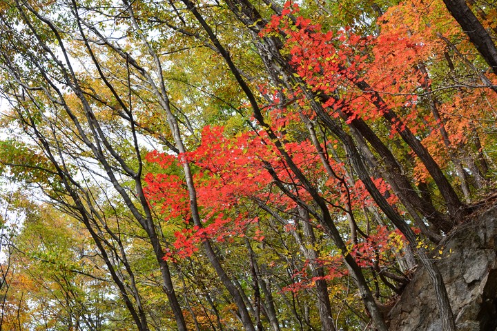 치악산이미지