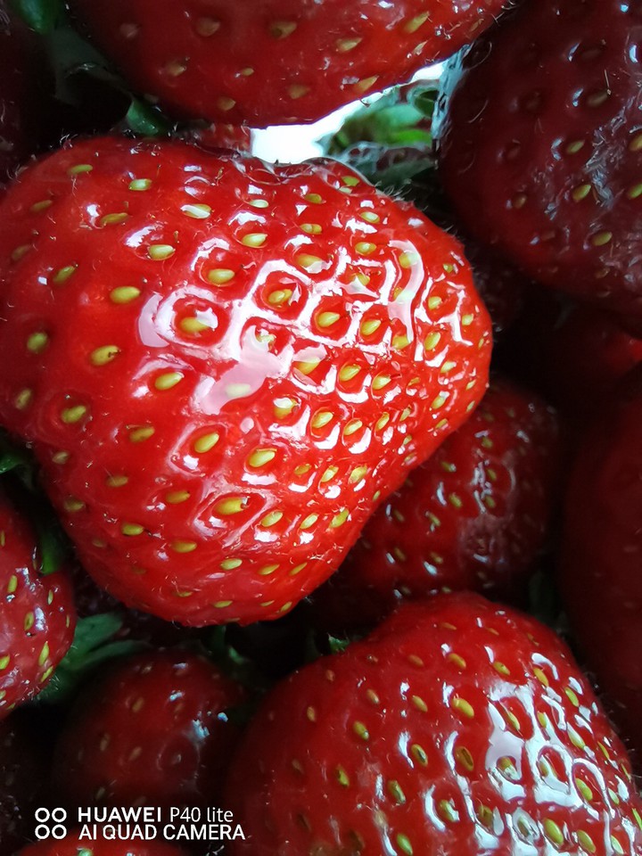 Strawberry