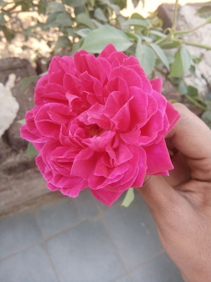 for my bf