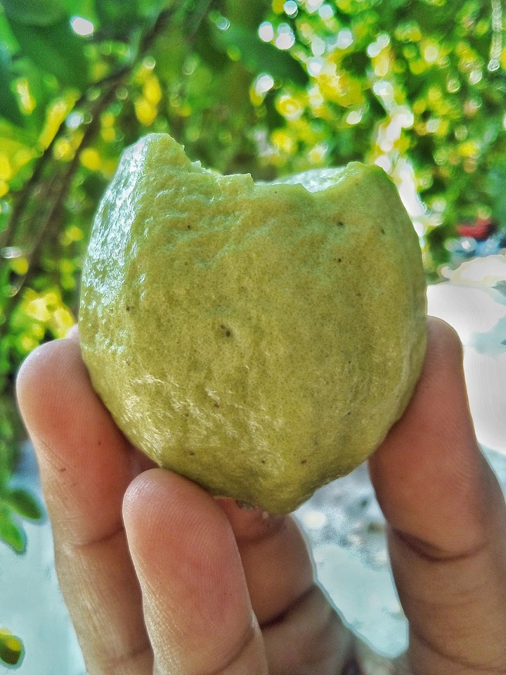 fruit
