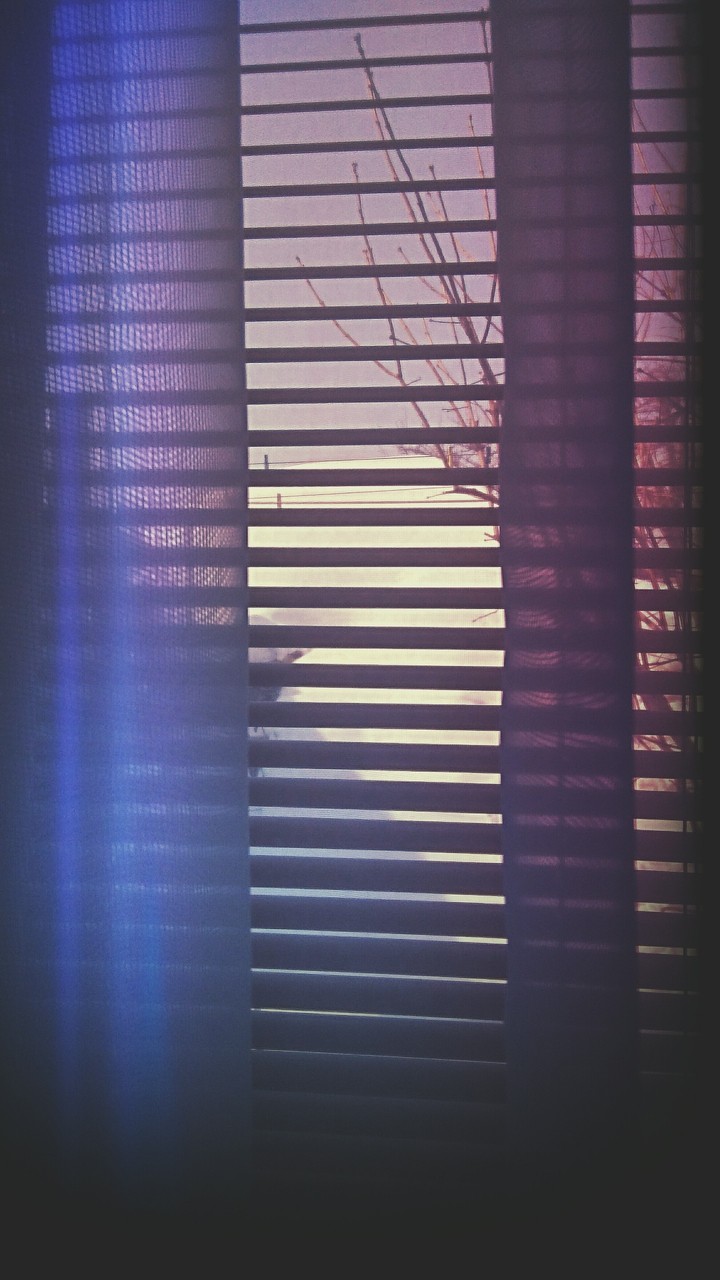 Window
