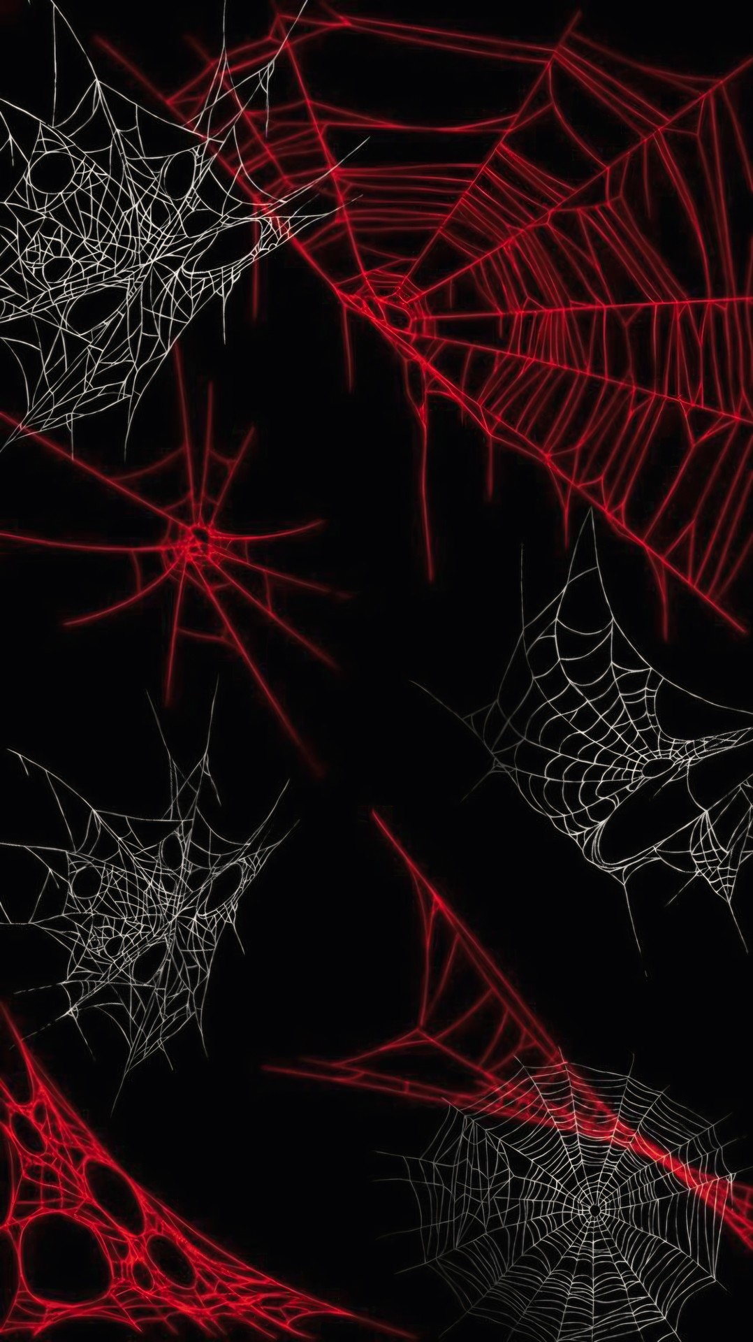 RED and WHITE SPIDERWEBS