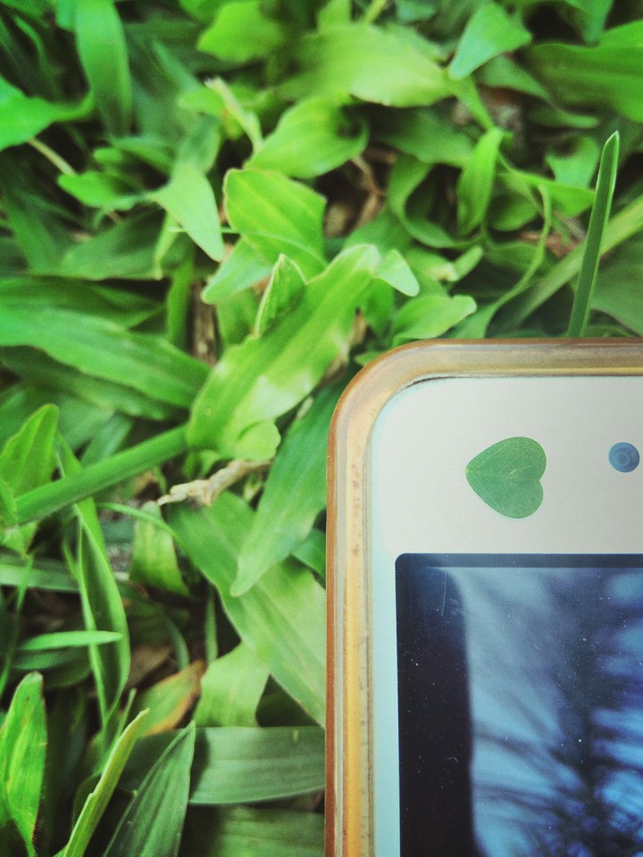 greenery