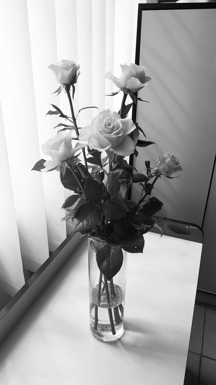 rose
