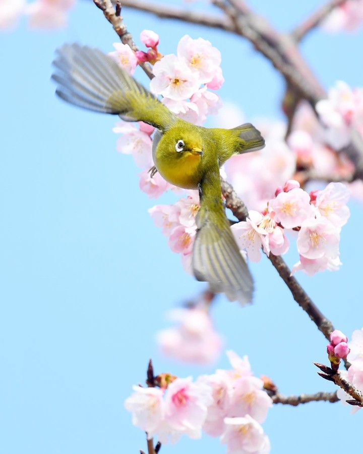 ♡~♤~♡