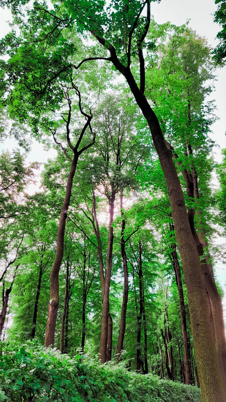 Corner of peace .•°