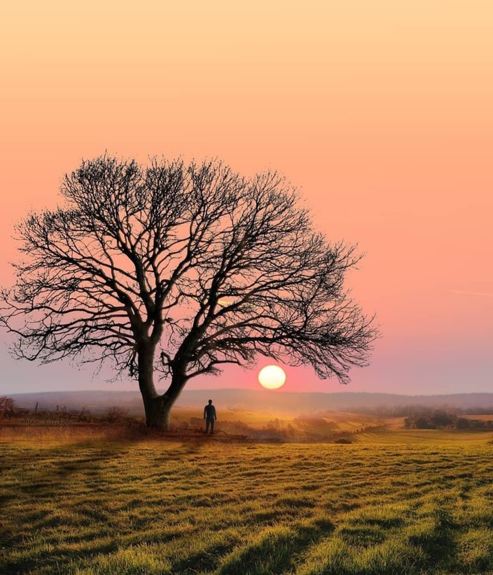 sun