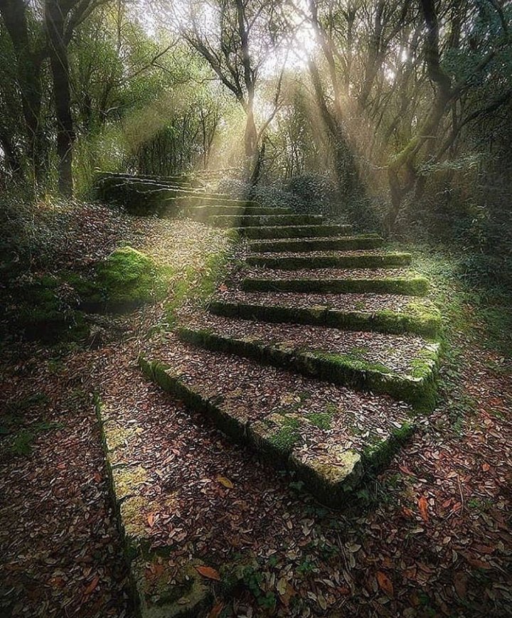 Lovely places