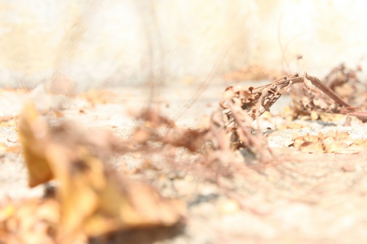 dust