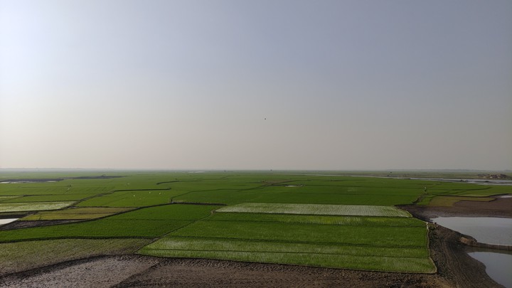 Green Village