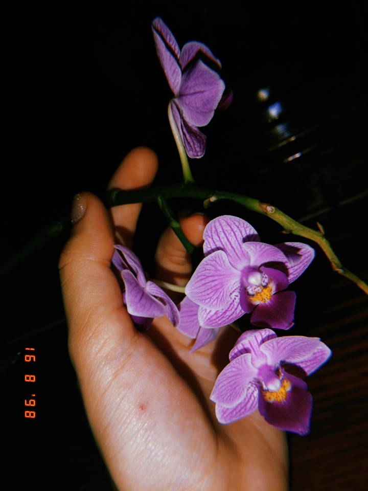 лайкаем сохраняем❤️
