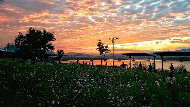 sunset