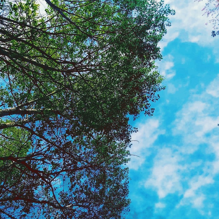 breathe