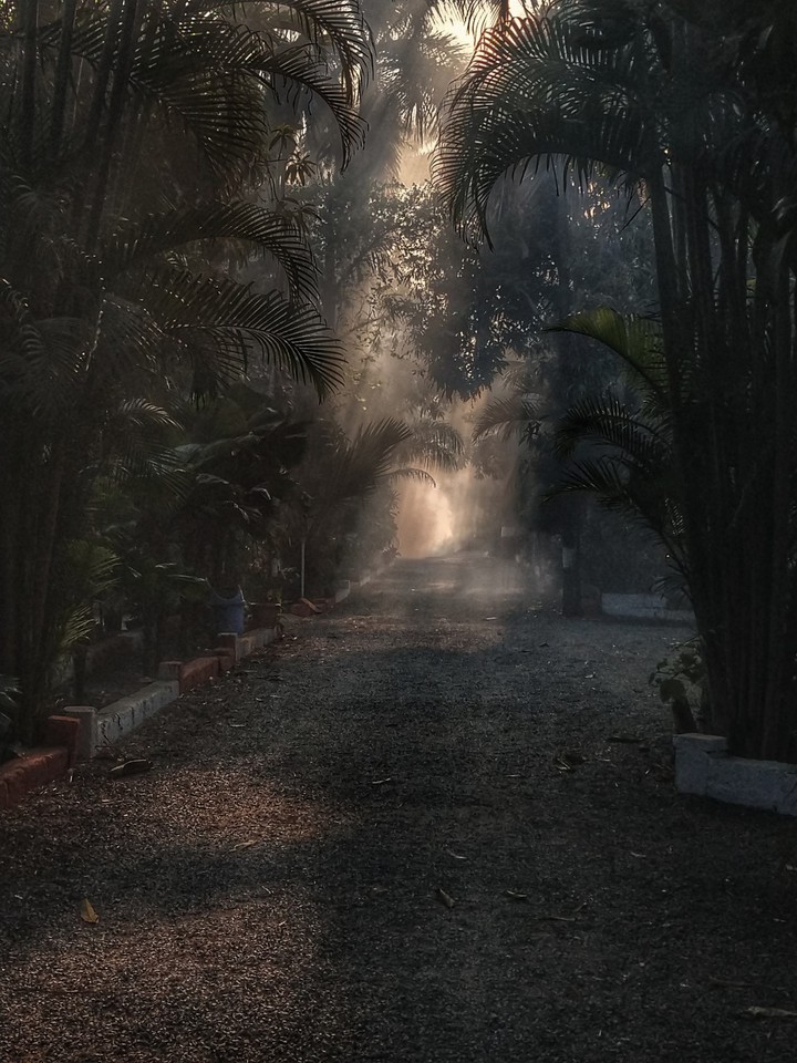 #nature