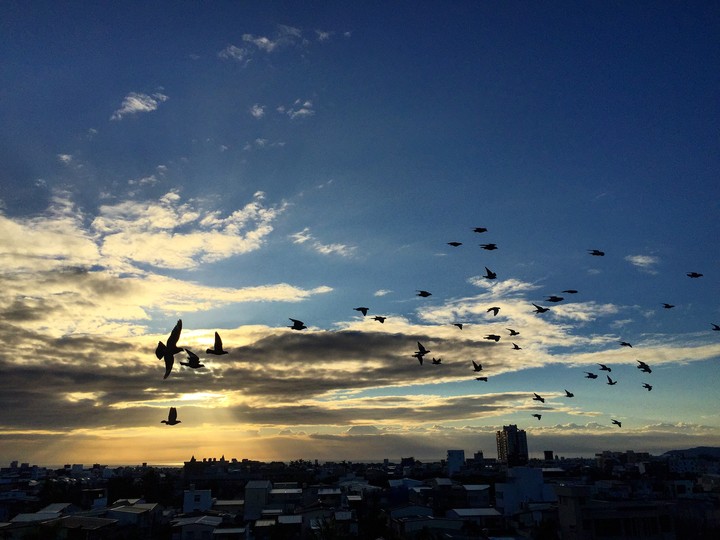 the morning sky
