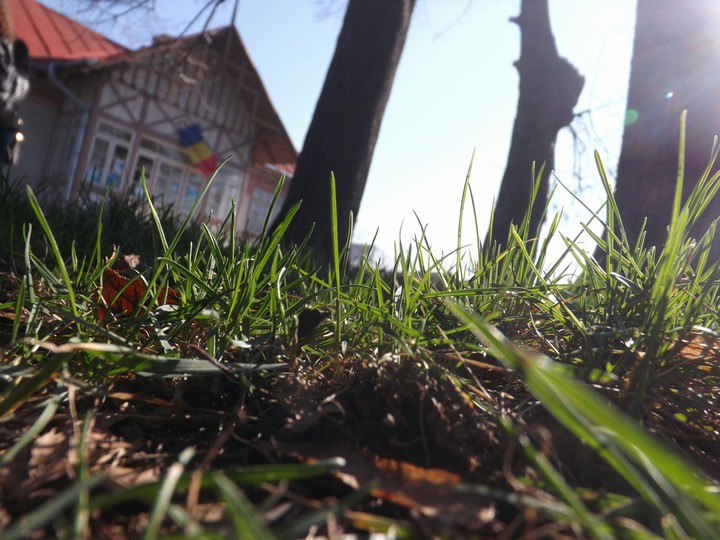 Sadoveanu house