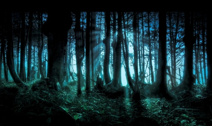 Night Forest