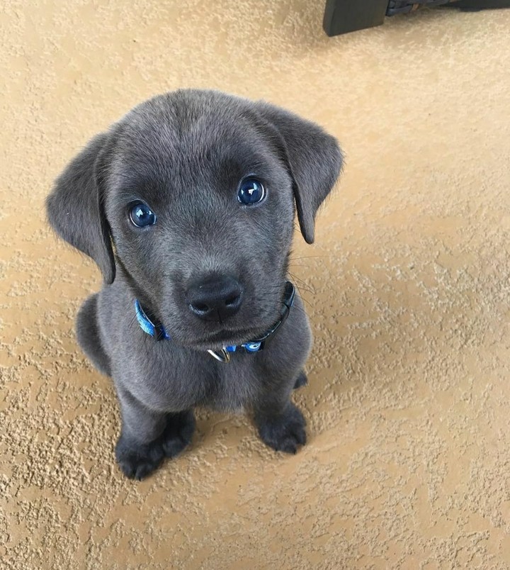 ??