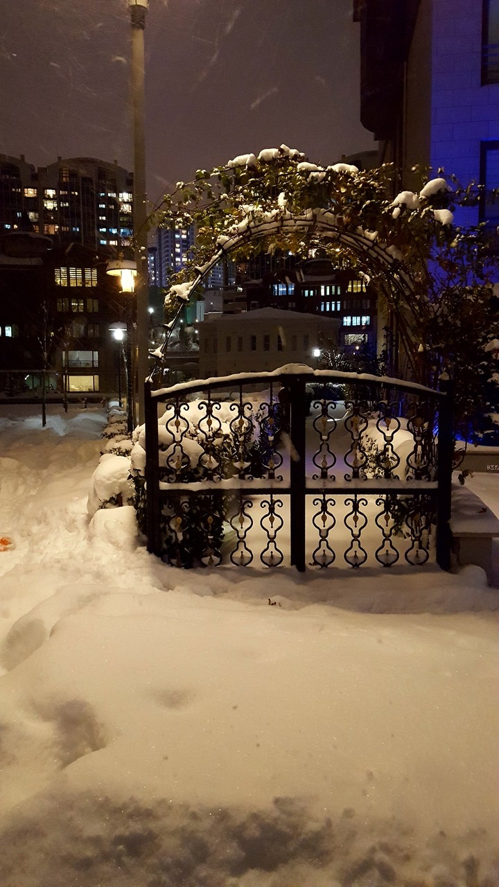 winter