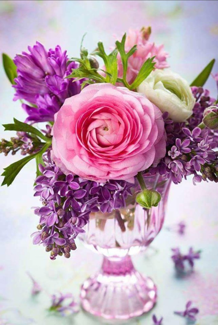 runkulus flower