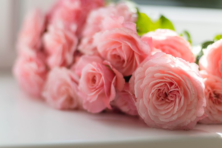 Pink Beauty