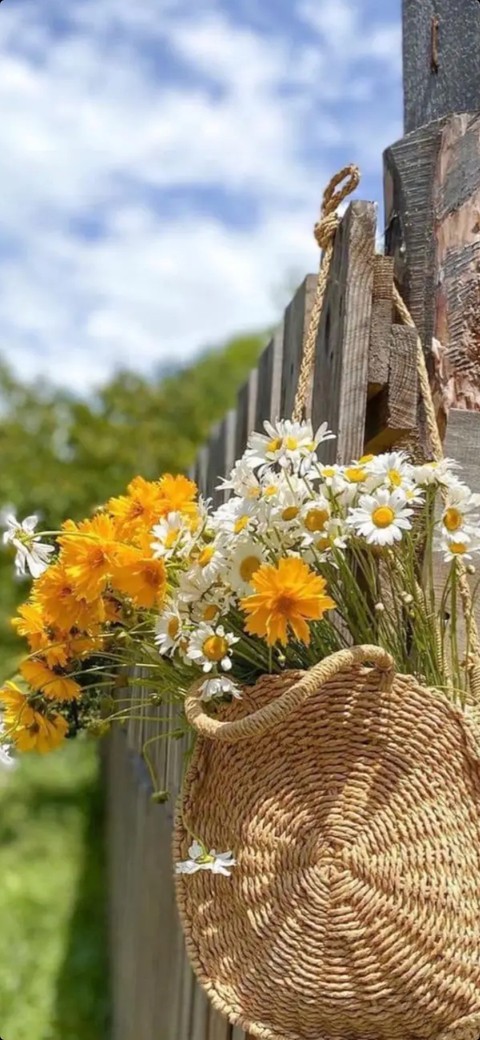 flower, grass duvar kağıtları