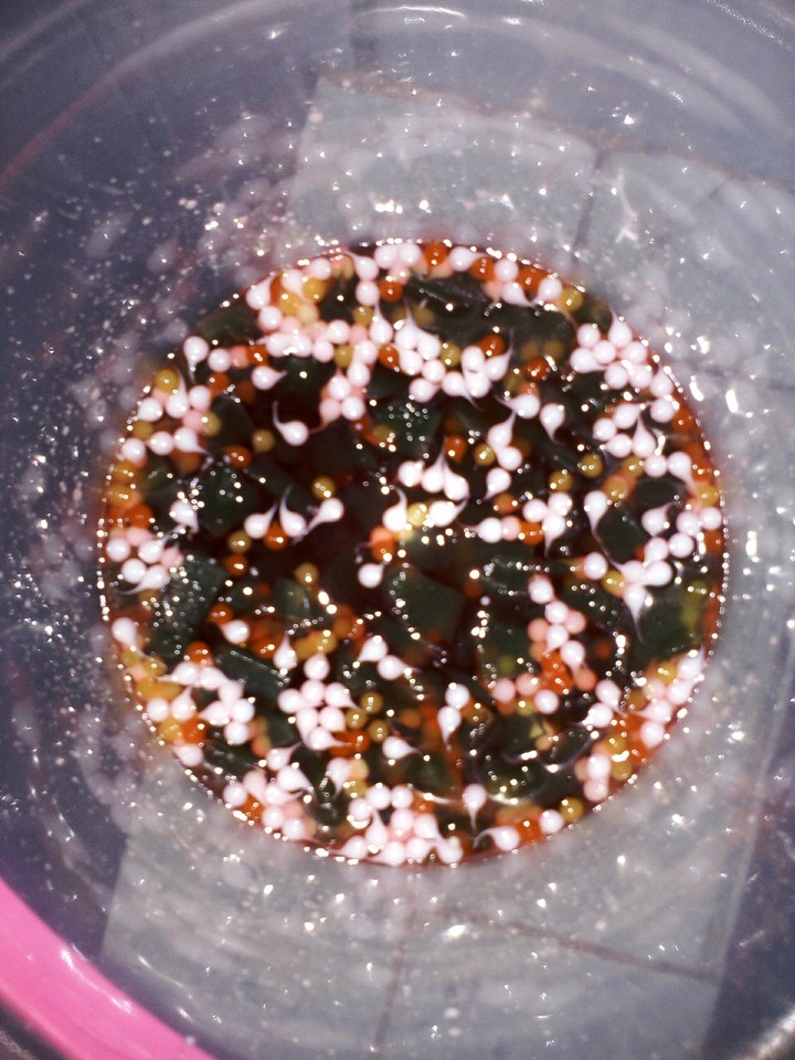 es agar-agar