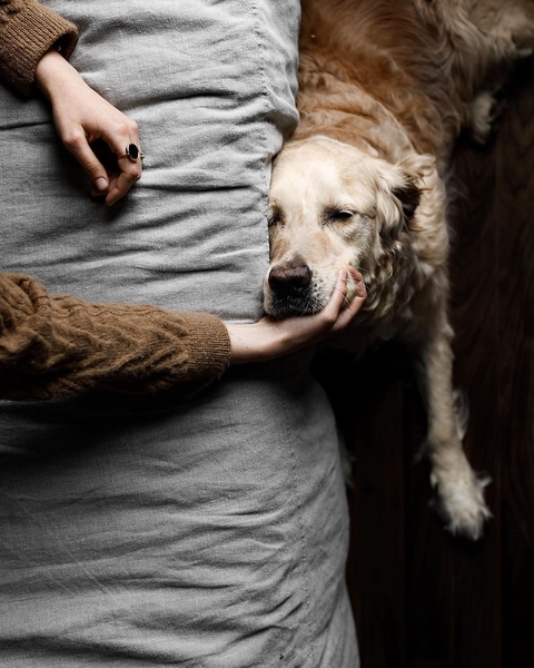 Attachment