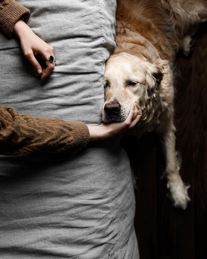 Attachment
