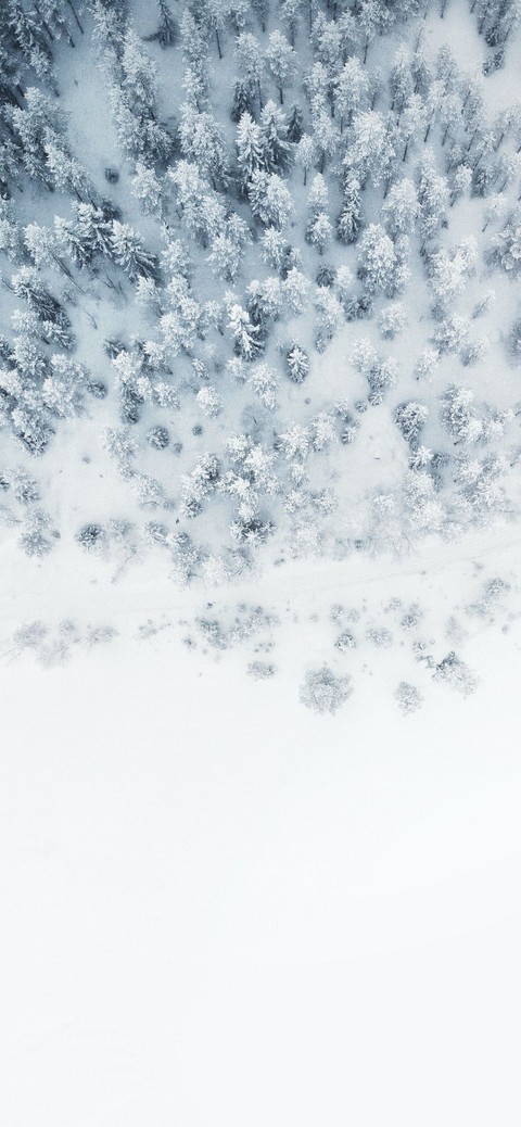 tapety cold, dream