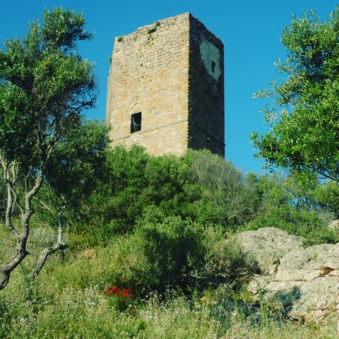 castle in the country