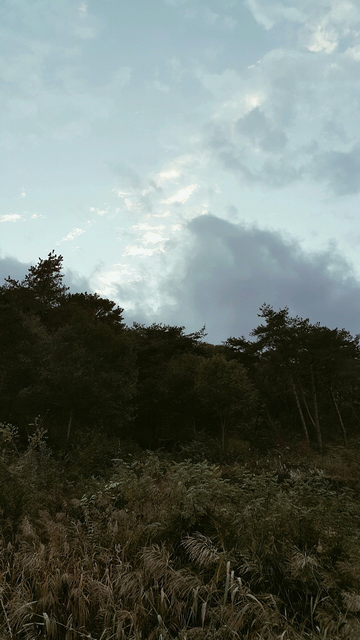 흐림