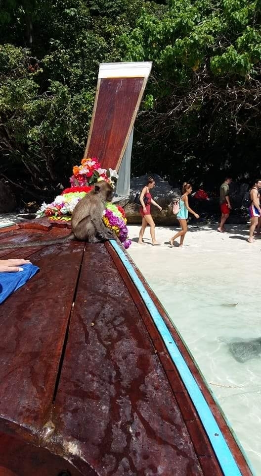 Monkey Island.