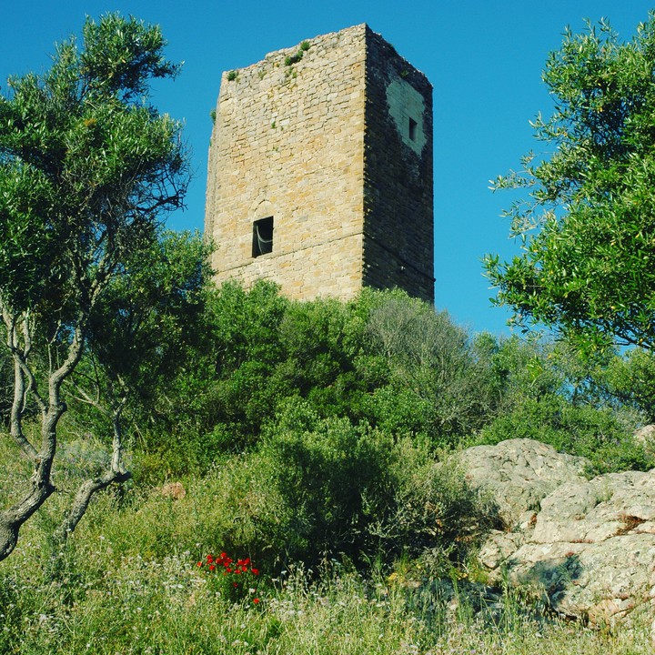 castle in the country